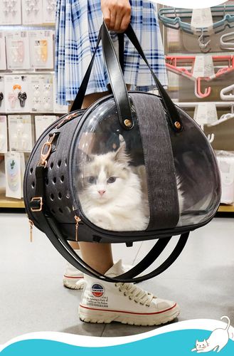 太空透明猫包外出手提便携包宠物狗包猫袋可折叠透气新款猫狗背包
