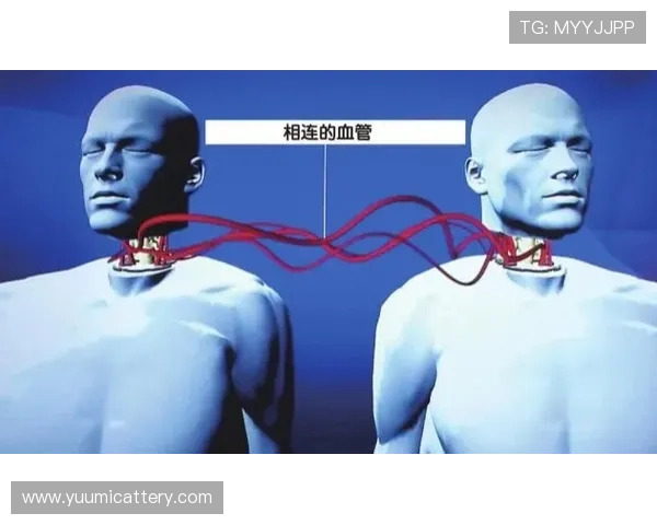 专访黄军：探寻篮球领域成功背后的秘密与智慧