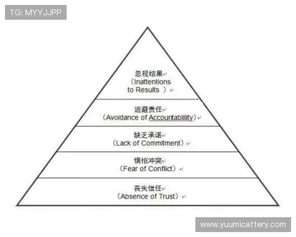 北京排球队的节奏解析：从战术到团队协作的深度剖析与展望