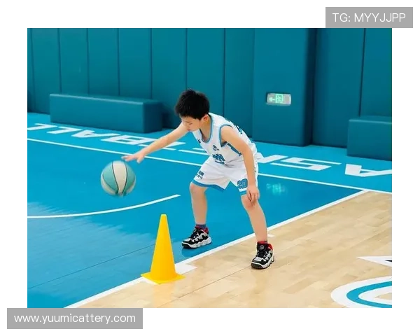 吴强独家分享篮球心得与技巧探索篮球的魅力与乐趣