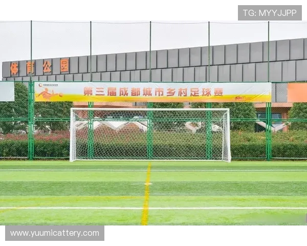 成都足球队防守分析：优劣势与改进方向探讨