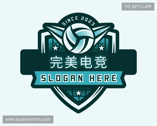 介绍完美电竞