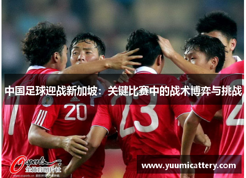 中国足球迎战新加坡：关键比赛中的战术博弈与挑战