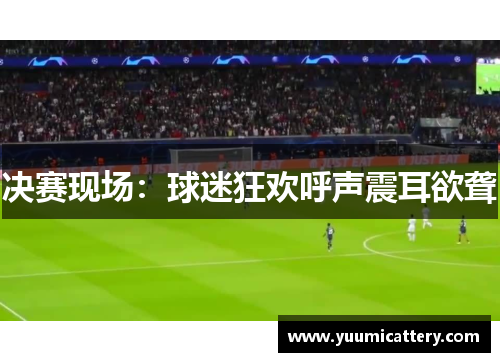 决赛现场：球迷狂欢呼声震耳欲聋